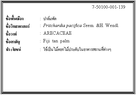 กล่องข้อความ: 7-50100-001-139 ชื่อพื้นเมือง : ปาล์มพัด ชื่อวิทยาศาสตร์ : Pritchardia pacifica Seem. &H. Wendl. ชื่อวงศ์ : ARECACEAE ชื่อสามัญ : Fiji tan palm ประโยชน์ : ใช้เป็นไม้ดอกไม้ประดับในอาคารสถานที่ต่างๆ